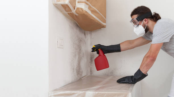 Professional Black Mold Removal technician working in Huntington Station, NY